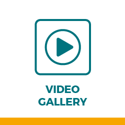 video-gallery