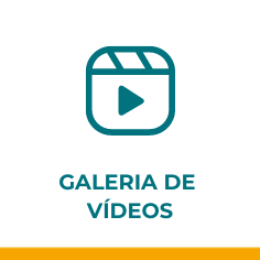 Galeria de vídeo